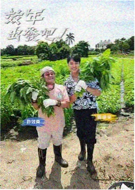 旧唱片店 剧照
